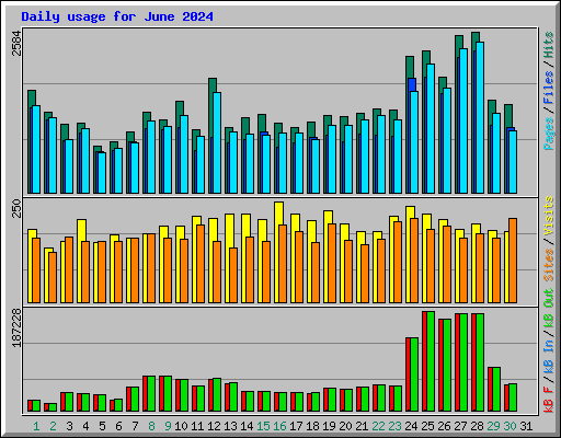 Daily usage for June 2024
