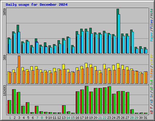 Daily usage for December 2024