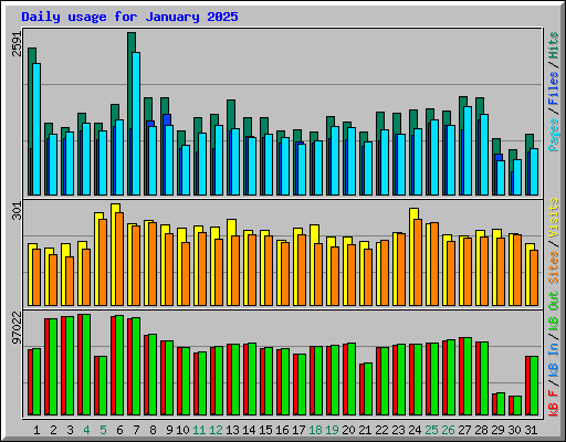 Daily usage for January 2025