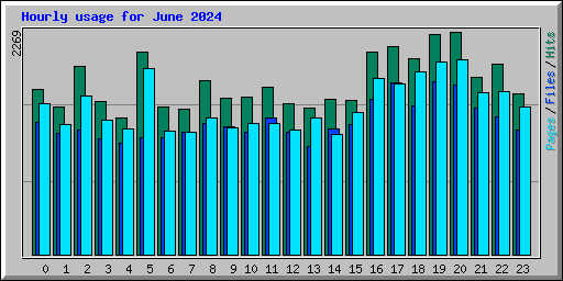 Hourly usage for June 2024