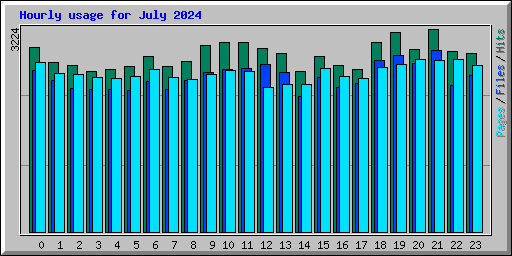 Hourly usage for July 2024