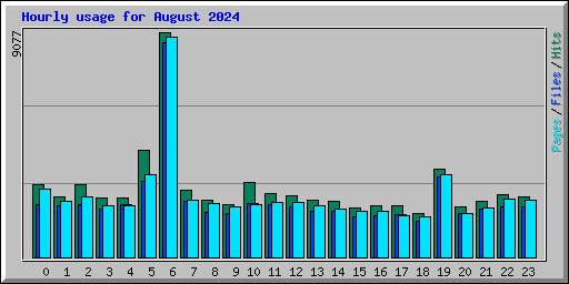 Hourly usage for August 2024