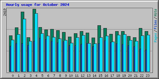 Hourly usage for October 2024