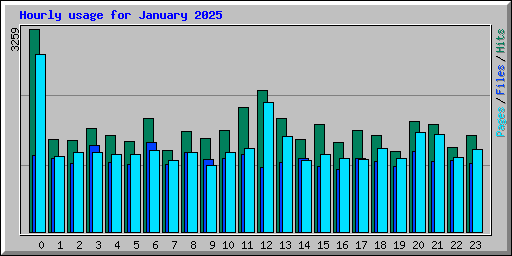 Hourly usage for January 2025