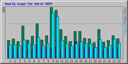 Hourly usage for March 2025