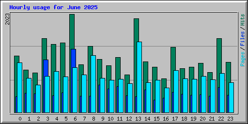 Hourly usage for June 2025
