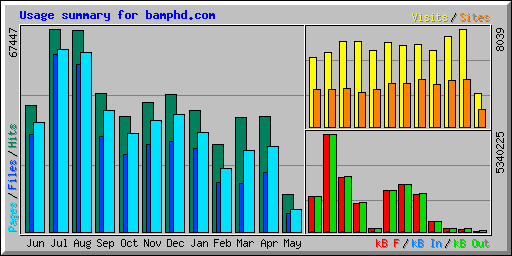 Usage summary for bamphd.com